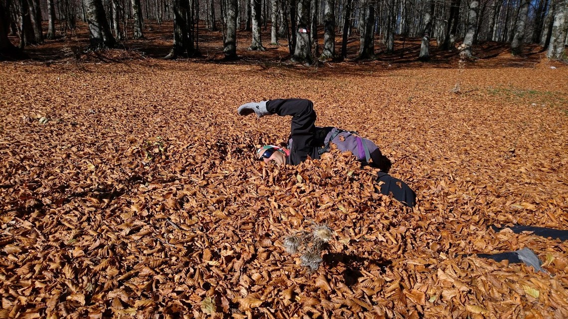 Si può nuotare anche dentro al bosco